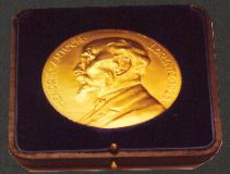 The Lorentz medal